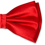 Tomatenrote Herrenfliege - Thumbnail 2