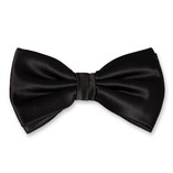 Schwarze Herrenfliege - Thumbnail 1