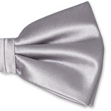 Hellgraue Herrenfliege - Thumbnail 2