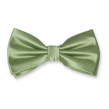 Salbeigrüne Herrenfliege - Thumbnail 1