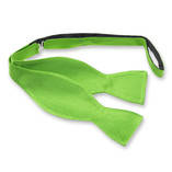 Apfelgrüne Fliege zum Selberbinden - Thumbnail 1