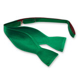 Grüne Fliege zum Selberbinden - Thumbnail 1