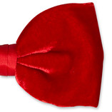 Samtfliege rot - Thumbnail 2