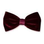 Samtfliege bordeaux - Thumbnail 1